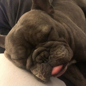 Meet your Posher, Anthony